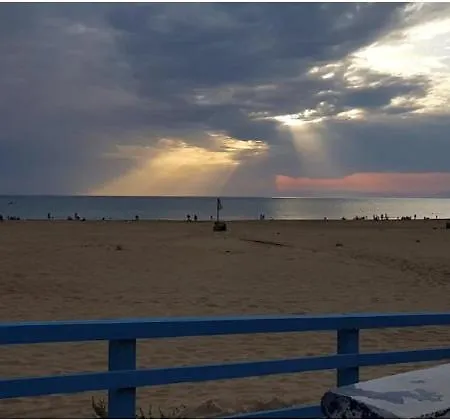 Mediterranea * Scoglitti